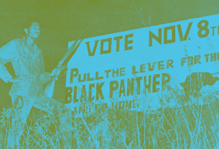 Black panther historic image with "Vote Nov 8th Pull the Lever for Black Panther Party"