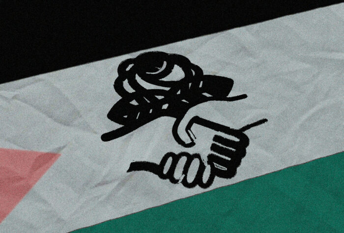 DSA logo over Palestinian flag