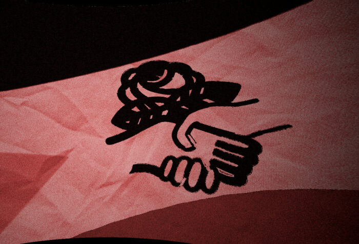 Palestinian flag with DSA logo overlaid, in a red hue