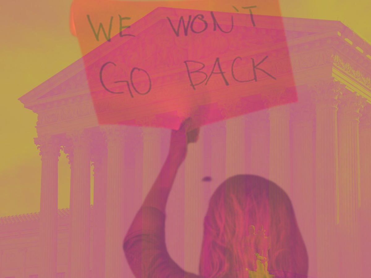 Silhouette of a woman holding a sign "We won't go back" in front of the Supreme court