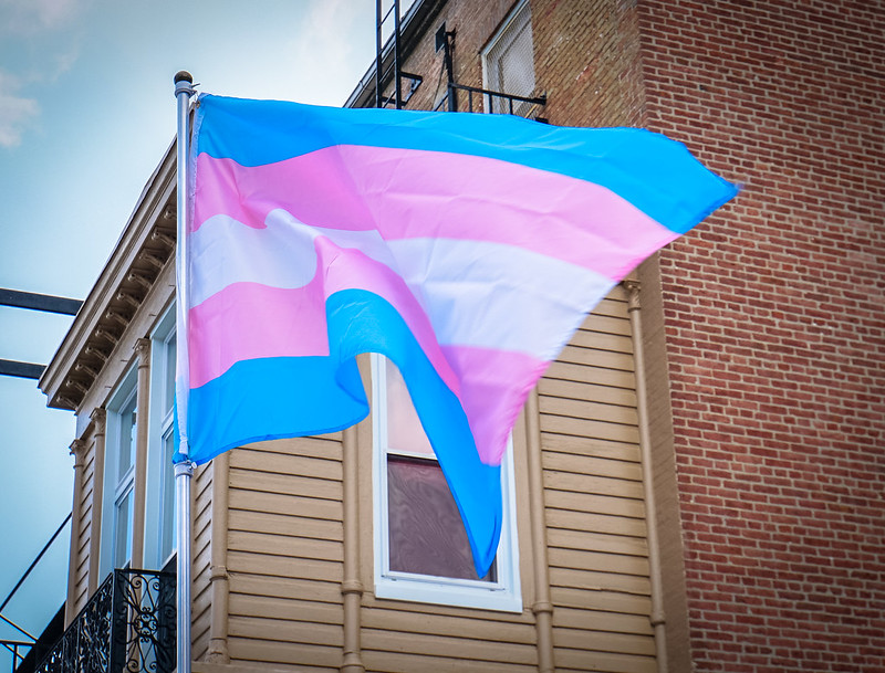 A blue, pink, and white striped trans pride flag flies in front of a brick townhouse with a wrought iron balcony.