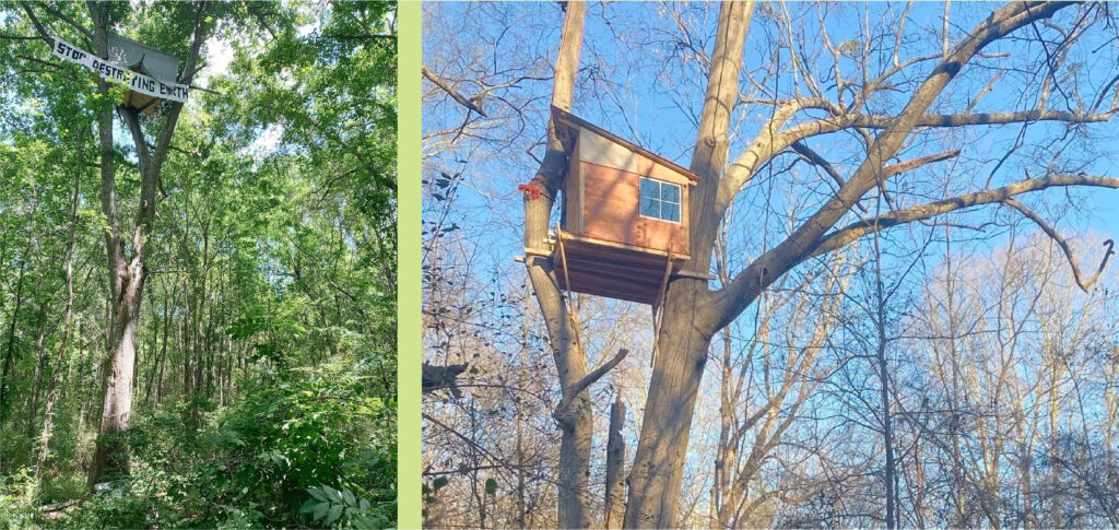 Two photos show structures high up in tall trees. The left photo shows a large banner draped across the higher part of a tree that reads ‘STOP DESTROYING EARTH’, and sits slightly under a structure that looks like a tent. Surrounding this tree and structure is a robust and alive forest that is overwhelmingly green. The right photo shows a wooden structure that looks like a little cabin sitting high up in a tree. Surrounding the structure are barren trees with few to no leaves and thus looks like it is a colder month.