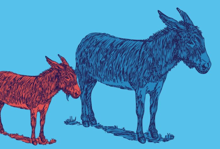 Two donkeys, one large and blue, a second smaller and red.