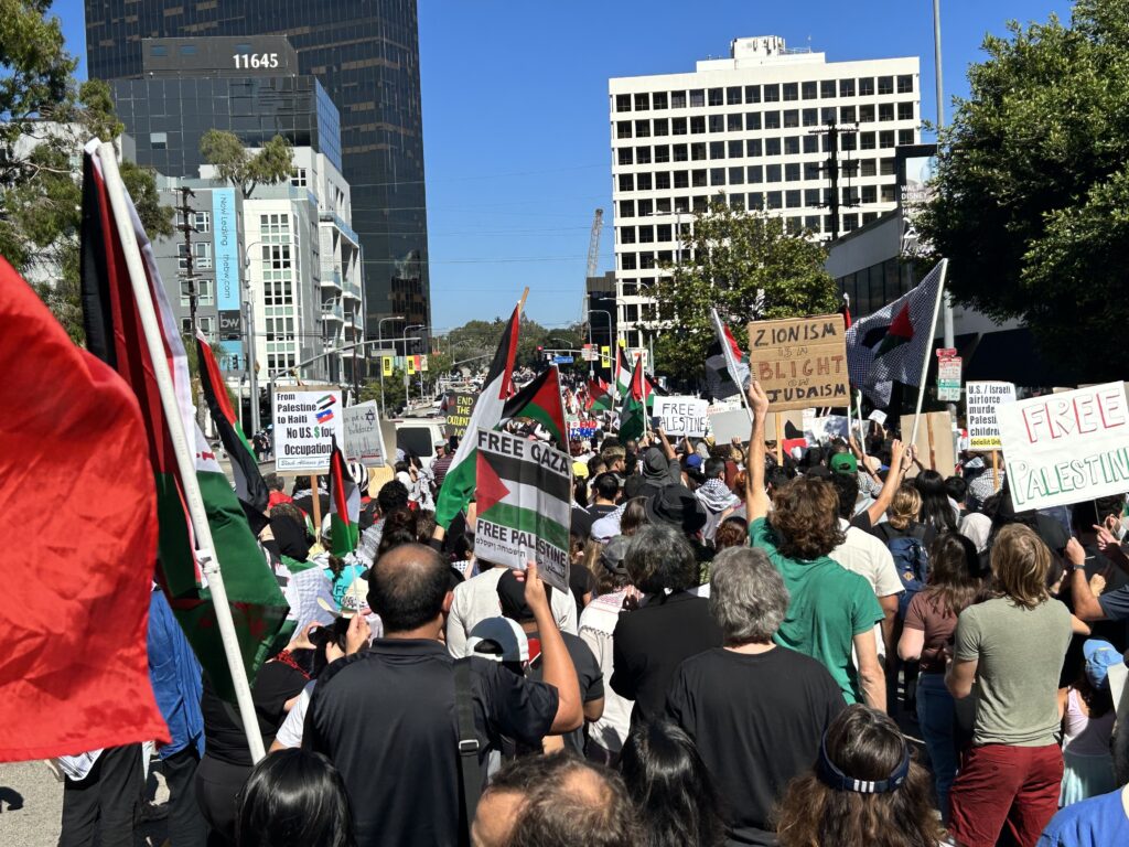 A huge crowd marches along an urban street, photographed from behind.They carry signs reading Free Palestine, Free Gaza, Zionism is a blight on Judaism. Numerous marchers carry Palestinian flags.