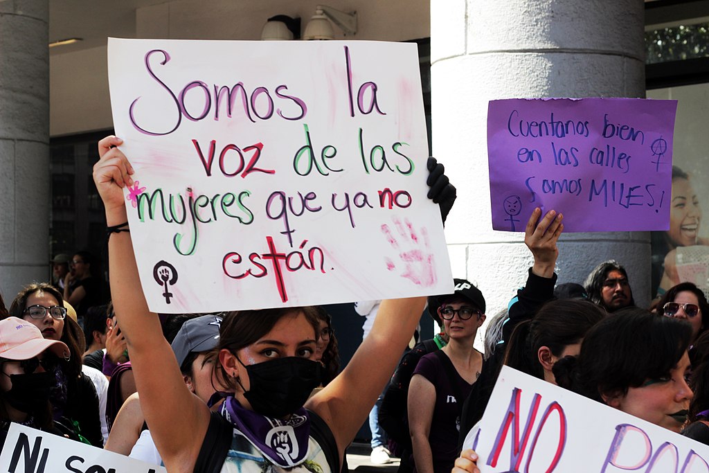 A protest for Women's rights in March 2020. The protestor holds a sign that translated to English reads "We are the voice of the women who no longer exist." Photo Credit: Samanta Pantoja.