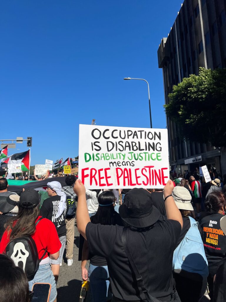 A person in black, viewed from behind, marches with many others against a blue sky, carrying a sign reading OCCUPATION IS DISABLING, DISABILITY JUSTICE MEANS FREE PALESTINE.