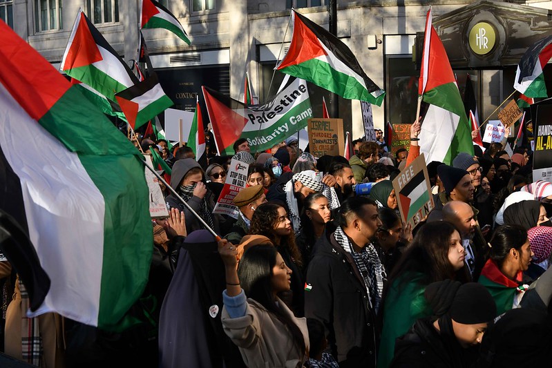 Palestine March, London, November 11, 2023. Photo shows large multi-racial crowd waving Palestinian flags.